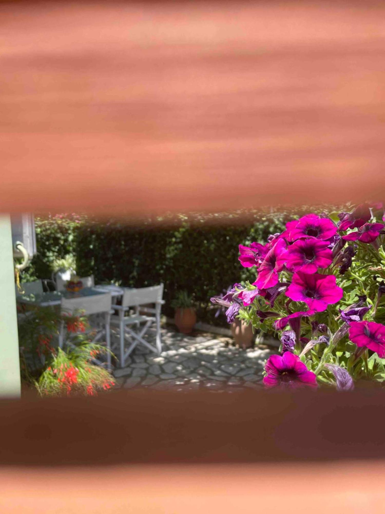 Tina Country Apartment Acharavi (Corfu)